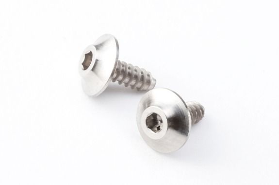 8810 STYLE SPM Titanium M2x5mm Tapping Screw ( 2pcs.)  [Reve D] HS-TS01