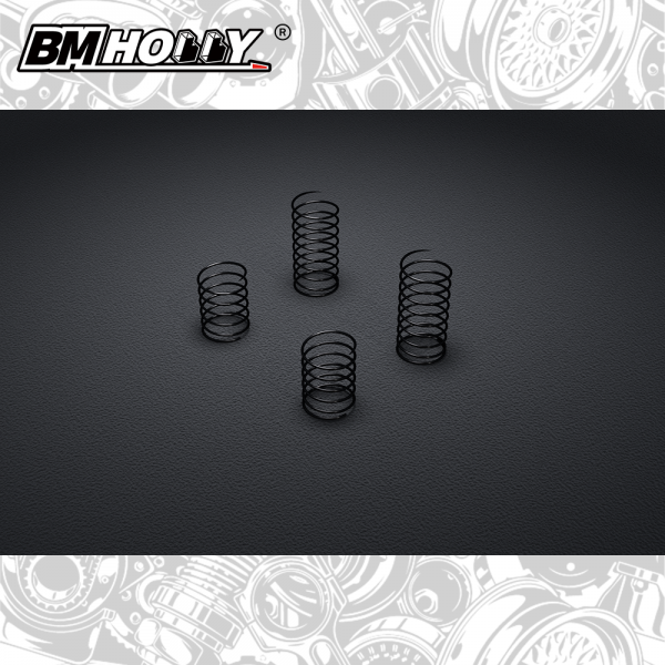 Spring Set For FLD 86 S13 1-28 [BM RACING] FLD-016