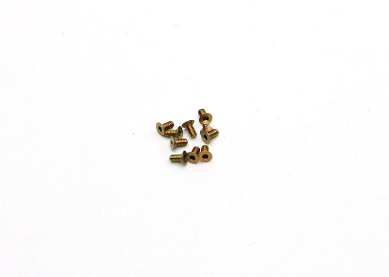RX28 M2x4 CS Head TITANIUM Screws (20pcs) [Reflex Racing] RX28A-72
